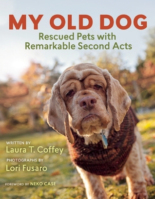 My Old Dog: Rescued Pets with Remarkable Second Acts