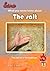 SALT: What you never knew about (Seince - The secret - the Kabbalah Book 2)