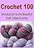 Crochet 100: Introduction to the Beautiful Craft Called Crochet: (Crochet - Crochet for Beginners - Crochet Projects - Crochet Patterns - Knitting)