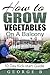 How to Grow Vegetables on a Balcony: 10 Day Kick - Start Guide