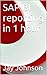 SAP BI reporting in 1 hour