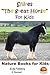 Shires “The great Horse” For Kids