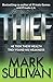 Thief (Robin Monarch Book 3)