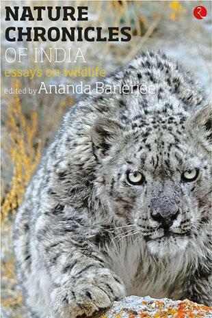 Nature Chronicles of India: Essays on Wildlife (Paperback)