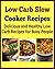 Low Carb Slow Cooker Recipes: Delicious and Healthy Low Carb Recipes for Busy People: (low carb, low carb diet, low carb cookbook, low carb recipes)