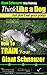 Giant Schnauzer Training | Think Like a Dog, But Don’t Eat Your Poop! |: Here's EXACTLY How To Train Your Giant Schnauzer