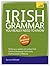 Irish Grammar You Really Need to Know: Teach Yourself