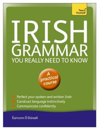 Irish Grammar You Really Need to Know: Teach Yourself (Kindle Edition)