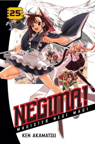 Negima! Magister Negi Magi, Vol. 25 (Negima! Magister Negi Magi, #25)