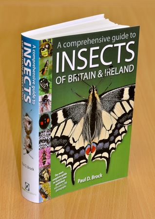 A Comprehensive Guide to Insects of Britain and Ireland (Hardcover)