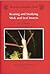 Rearing and Studying Stick and Leaf Insects by Paul D. Brock