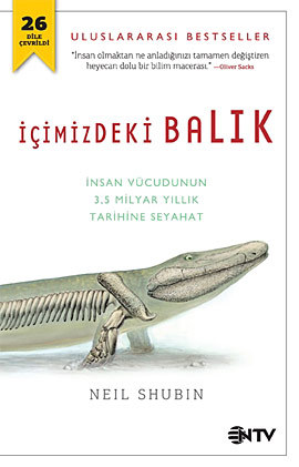 İçimizdeki Balık: İnsan Vücudunun 3,5 Milyar Yıllık Tarihine Seyahat