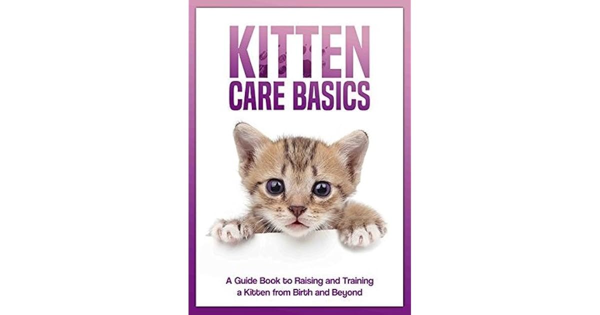 Kitten Care Basics A Guide Book to Raising and Training A Kitten from