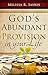 God's Abundant Provision in Your Life