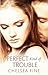 Perfect Kind of Trouble (Finding Fate Book 2)