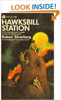 Hawksbill Station