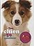 Ton chien en 50 questions (...