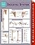 Skeletal System (Speedy Study Guides)