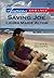 Saving Joe (U.S. Marshals, #1)
