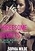 Threesome Secrets: A New Spark - Volume 2