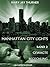 Gewagte Begegnung (Manhattan City Lights 2) (German Edition)