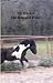 Mr Rocket the Rescued Pony by Tabitha Darling