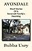 Avondale. Short stories of a Savannah family's haunting