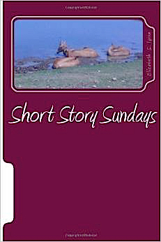 Short Story Sundays: The First Four Months (The Short Story Supposition)