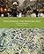 Discovering the Western Past, Volume II: Since 1500: A Look at the Evidence, Volume II: Since 1500