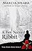 A Boy Named Rabbit (Wake-Robin Ridge #2)