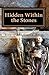 Hidden Within the Stones by Robin Martinez Rice