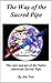 The Way of the Sacred Pipe:...