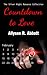 Countdown to Love (Silver Nights Romance Collection #1)