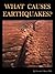 What Causes Earthquakes?