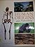 Human Origins and Prehistory