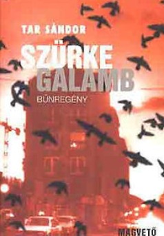 Szürke galamb