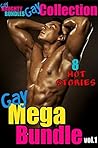 Gay Mega Bundle vol. 1 (8 Book M/M BDSM Mega Bundle)