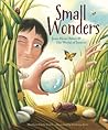 Small Wonders by Matthew Clark Smith