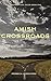 Amish Crossroads (Hannah and Jacob #1)
