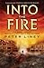 Into the Fire (The Detainee Trilogy, #2)