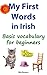 My First Words in Irish by Mia Bowen