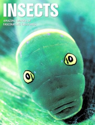 Insects (Hardcover)