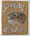 Penny Pika by Phoebe Wahl