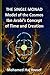 The Single Monad Model of the Cosmos: Ibn Arabi's Concept of Time and Creation
