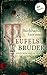 Teufels Brüder: Historischer Roman (German Edition)