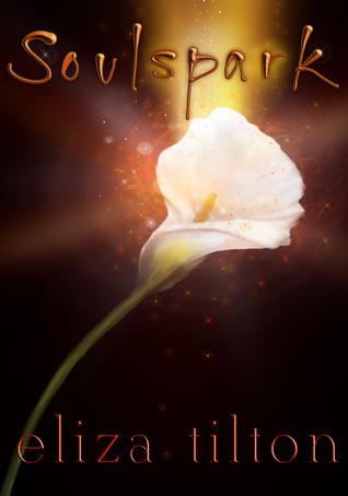 Soulspark