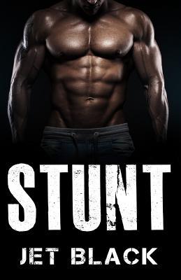 Stunt (The Ricky Stunt Series, Volume 1)