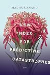 A New Index for Predicting Catastrophes