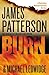 Burn (A Michael Bennett Thriller, 7)