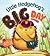 Little Hedgehog's Big Day by Heidi Howarth